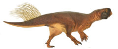 Dinosaurier Psittacosaurus