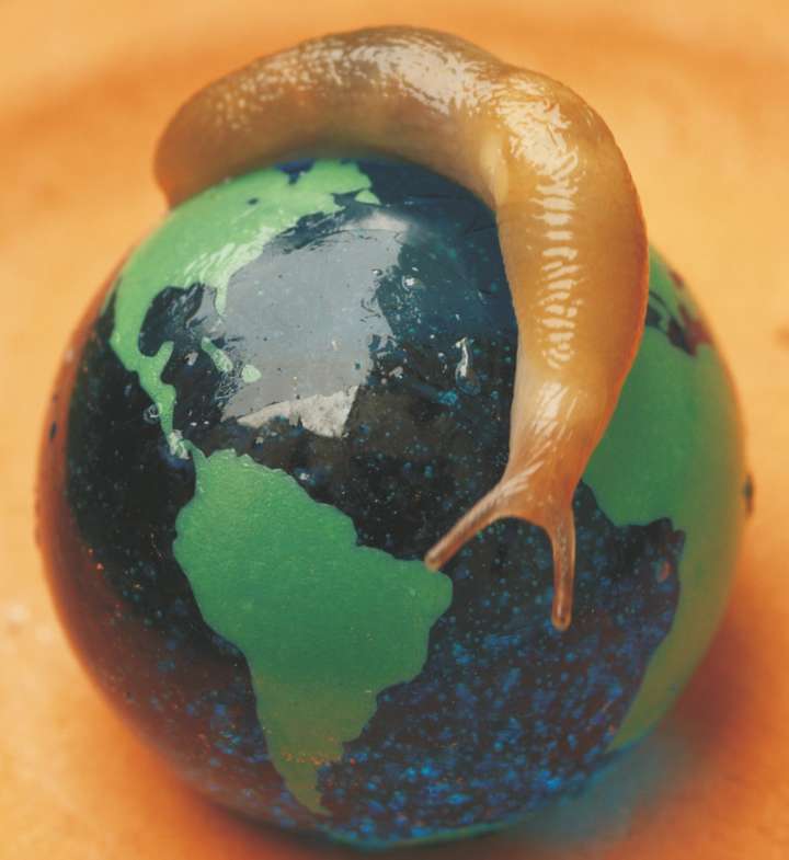 Slug on a globe