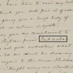 Briefwechsel Darwin - Haeckel
