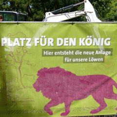 Löwenanlage im Zoo Frankfurt