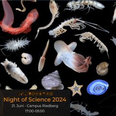 Goethe Universität: Night of Science 2024